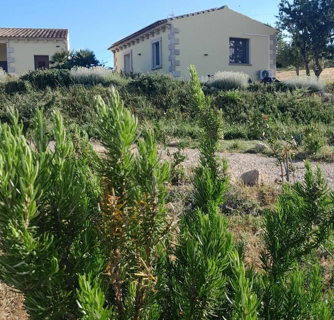 Ferienwohnung Dependance Pavoncella Arzachena Italien